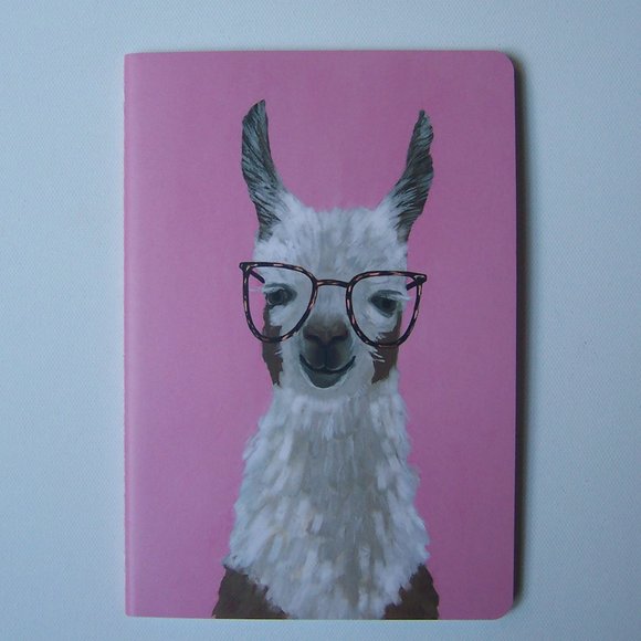 OCS DESIGNS "Bespectacled Llamas" 3-Pack Journals - Picture 6 of 8